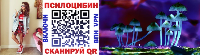 цена наркотик  Дюртюли  Галлюциногенные грибы Psilocybine cubensis 