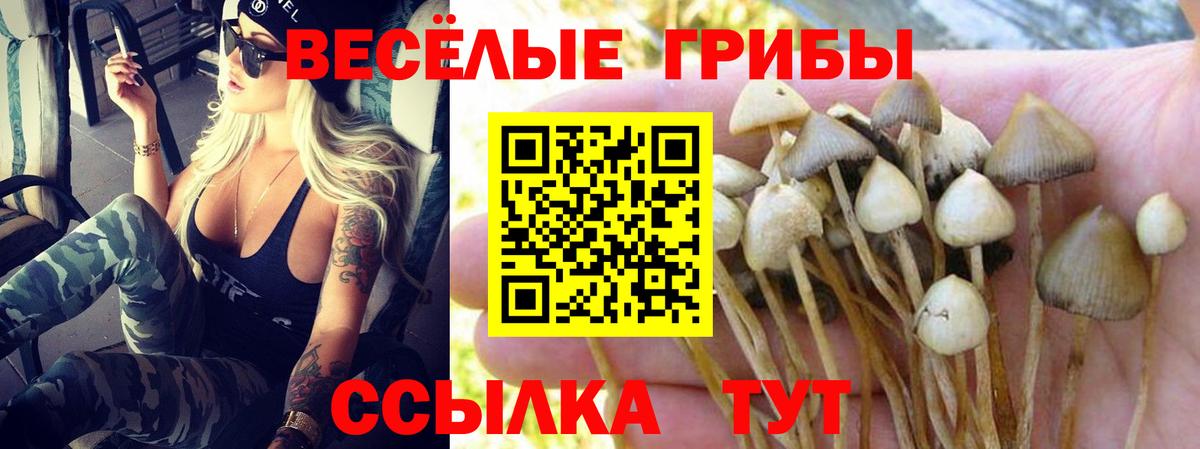 Галлюциногенные грибы ЛСД  что такое   Галлюциногенные грибы MAGIC MUSHROOMS  Дюртюли 