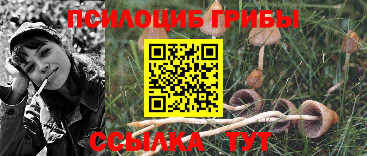 Дюртюли  Псилоцибиновые грибы Cubensis  Вход с VPN 